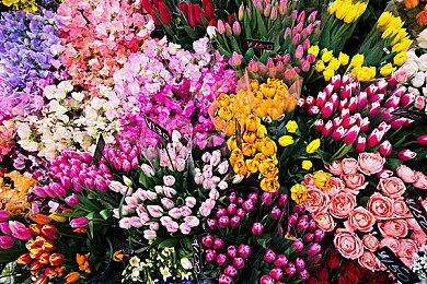 《战地2042》中的维修工具可以用来维修企鹅